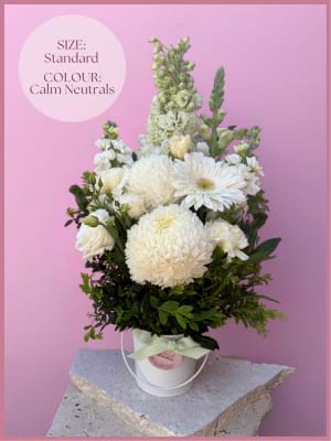 For Her Always Standard Calm Neutrals