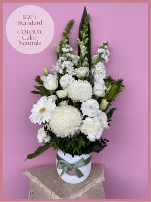 Timeless Classic Standard Calm Neutrals