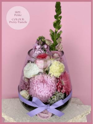 Golden Mum Petite Pretty Pastels