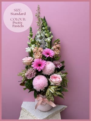 Timeless Classic Standard Pretty Pastels