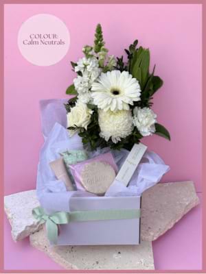 All For Her Calm Neutral