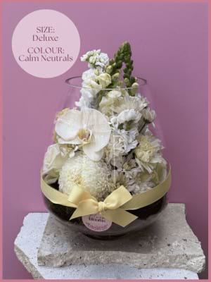 Golden Mum Deluxe Calm Neutrals