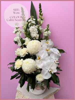 Timeless Classic Wow Calm Neutrals
